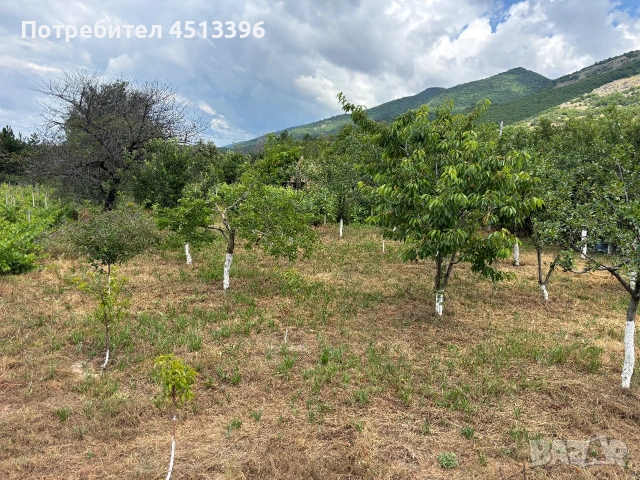 Продавам Лозе, снимка 4 - Парцели - 55010415