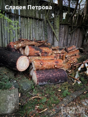 Безплатно дърва, снимка 7 - Дърва за огрев - 54242610