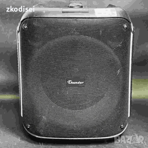 Bluetooth тонколона THUNDER THS-B80
