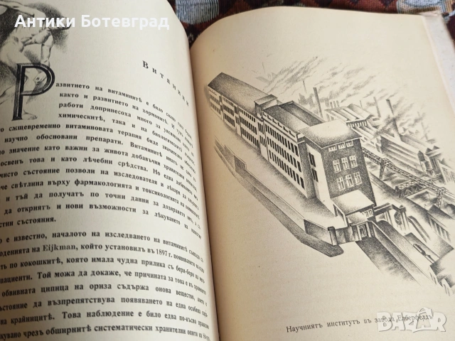 Стара антикварна книга 50 години лекарства Bayer, снимка 10 - Антикварни и старинни предмети - 55165097