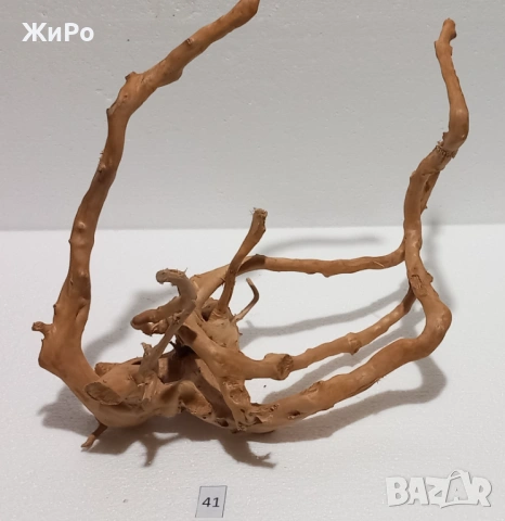 Корен от Азалия /декорация/ 41