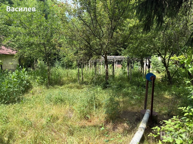 Вила с лозе в американските лозя- гр.Разград, снимка 4 - Вили - 55055222