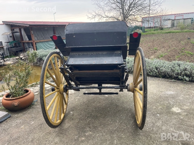 Файтон /Каляска/Карета/Каруца, снимка 3 - Други животни - 54170102