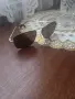Слънчеви унисекс очила, снимка 2