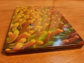 Finding Nemo DVD + Finding Dory blu ray steelbook , снимка 7