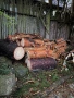 Безплатно дърва, снимка 7