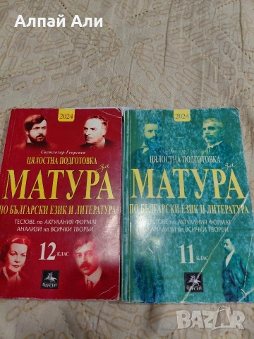 Помагала за ДЗИ по Български език и литература, снимка 3 - Учебници, учебни тетрадки - 55265829