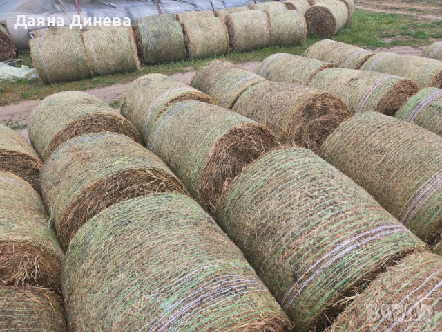 Продавам ролонни бали влажна люцерна, снимка 3 - За селскостопански - 54483625