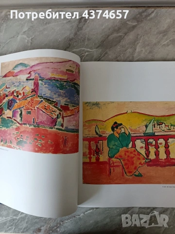 ХЕНРИ МАТИС -луксозен албум, снимка 6 - Други ценни предмети - 53952008