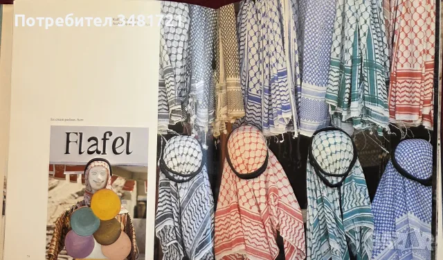 Israel. A First View, снимка 12 - История, политика и общество - 55362846