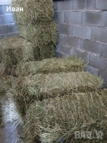Продава бали сено и бали люцерна, снимка 2 - За селскостопански - 54573708