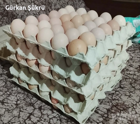 яйца от селски кокошки 