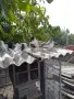 Продавам гълъби, снимка 6