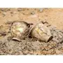 Система за откриване на съкровища и кухини Ground Inspector, снимка 3