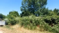 Парцел със стара къща разположен в с. Славяново, област Хасково, снимка 4