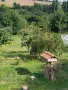 Двуетажна масивна къща в с. Стражец , снимка 13
