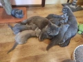 Промоция , снимка 3