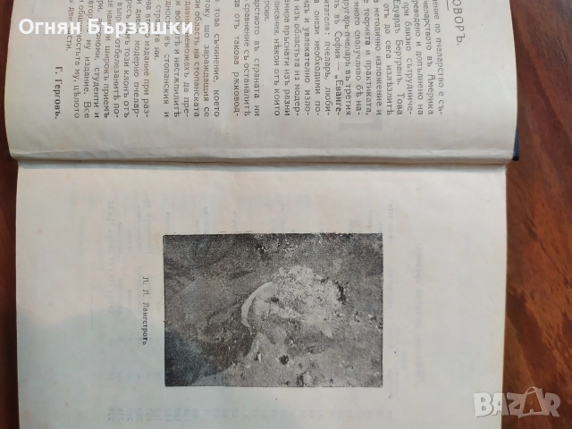продавам книги , снимка 3 - Антикварни и старинни предмети - 54509778