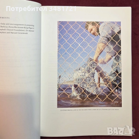 Атлантическата сьомга - илюстриран справочник / Atlantic Salmon. An Illustrated History, снимка 3 - Енциклопедии, справочници - 54956938