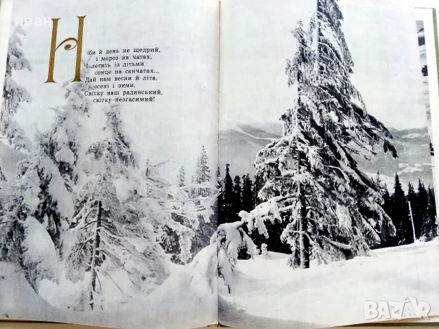 Фотоалбум " Шелковый цветок "  - 1973г., снимка 11 - Изкуство, музика, кино и фотография - 55602587