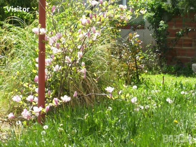 фотоапарат Kodak C533 , снимка 8 - Фотоапарати - 54337935