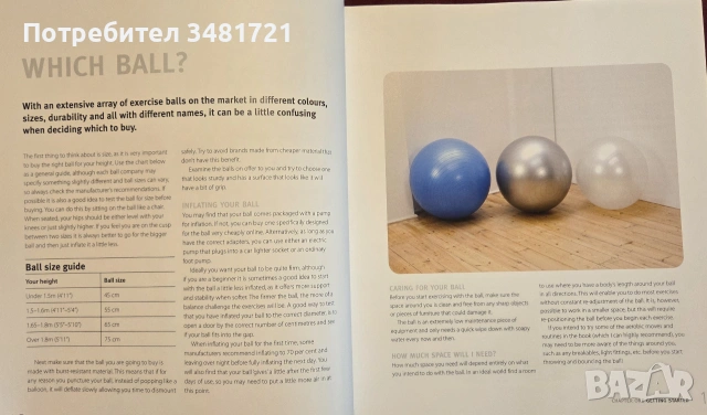 The Exercise Ball Bible, снимка 4 - Здраве, медицина и спорт - 55065720