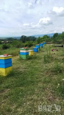 Продава се пчелин
