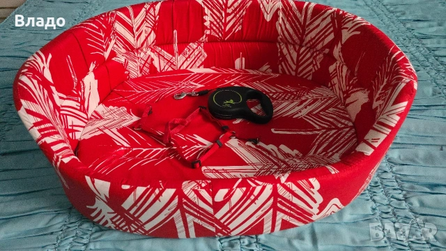 Йоркширски териер, момченце със всички аксесоари , снимка 6 - Йоркширски териер - 54082629