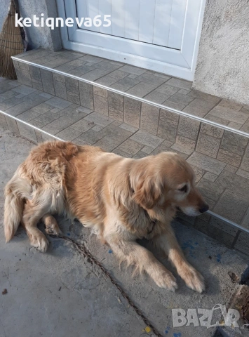 продавам къща , снимка 13 - Къщи - 53997741