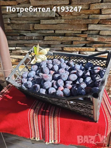 Сливи за ракия,компот и сладко, снимка 5 - Домашни продукти - 55680373
