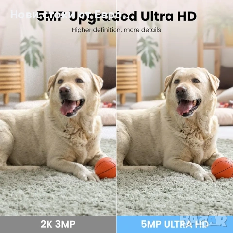 wansview 5MP UHD камера за домашни любимци с приложение за телефон, снимка 4 - Камери - 54095496