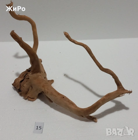 Корен от Азалия /декорация/ 15, снимка 3 - Други - 49874889