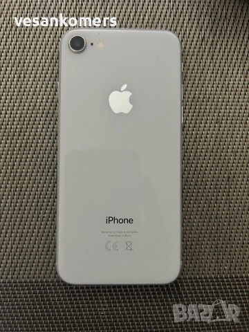 iPhone 8 / 256GB