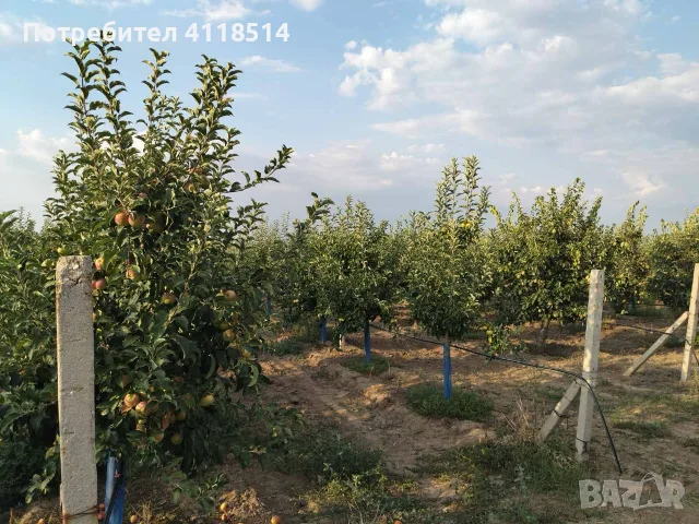 Ябълкова Градина, снимка 3 - Земеделска земя - 55609995