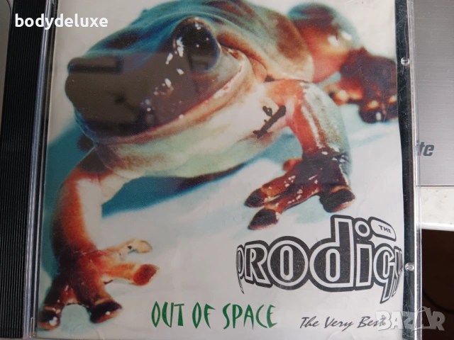 prodigy аудио дискове, снимка 3 - CD дискове - 37149285
