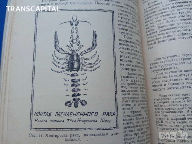 Зоология, методи на преподаване, на руски език, снимка 6 - Други - 55265155