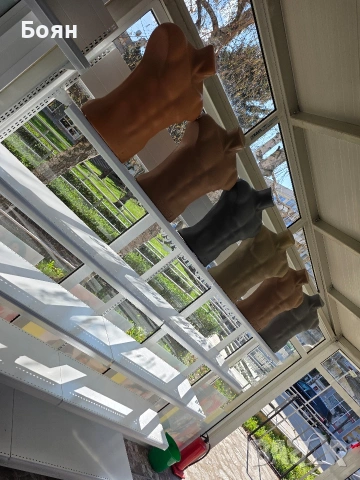 МАГАЗИН В ЦЕНТЪРА НА ГОРНА ОРЯХОВИЦА , снимка 11 - Магазини - 54167087