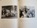 Picturing the South 1860 to the Present, снимка 17