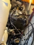 Sea‑Doo GSX 787 - 110hp, снимка 5