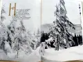 Фотоалбум " Шелковый цветок "  - 1973г., снимка 11