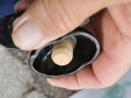 ЦИГУЛКА ЗА КОЛЕКЦИЯ 23052618341635L4, снимка 14