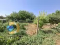 Къща в село Рупките, общ. Чирпан, снимка 18