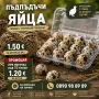 Пресни пъдпъдъчи яйца, снимка 1