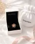 Cребърни талисмани и висулки за гривни Пандора/ Pandora, снимка 4
