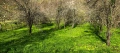 Продавам Вила Мах. Райковска гр. Троян, снимка 2