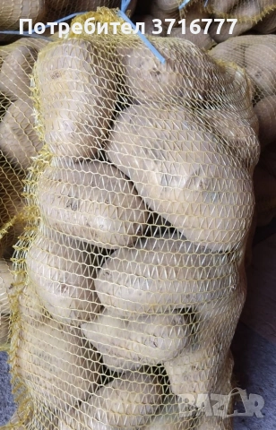 зеленчуци и плодове , снимка 2 - Други стоки за дома - 54265438