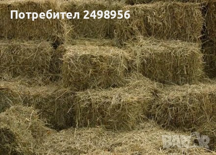 бали , люцерна и сено смес реколта2026