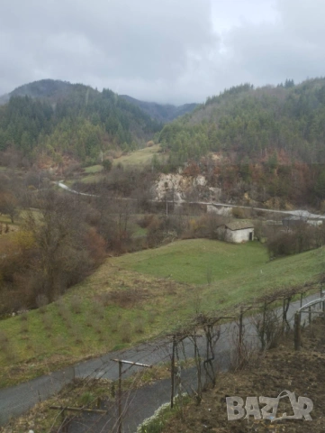 "Хаир" студио