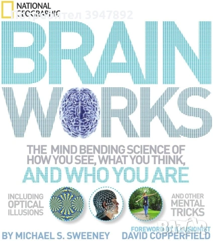 Brainworks The Mind-bending Science of How You See What You Think and Who You