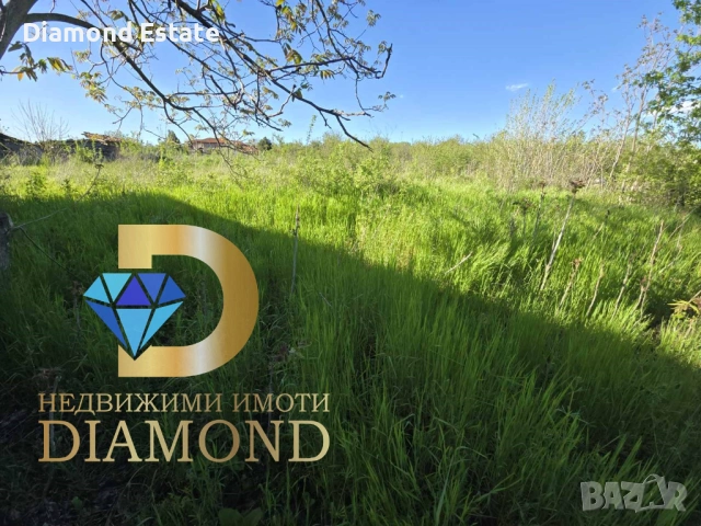 Едноетажна къща в село Целина, общ. Чирпан, снимка 9 - Къщи - 54425000